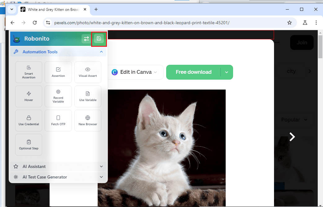10.webp
