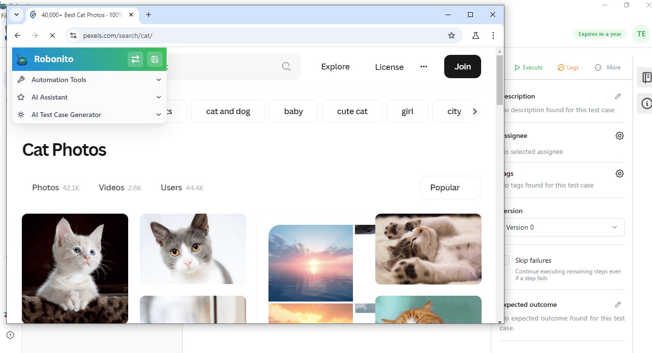 6.webp